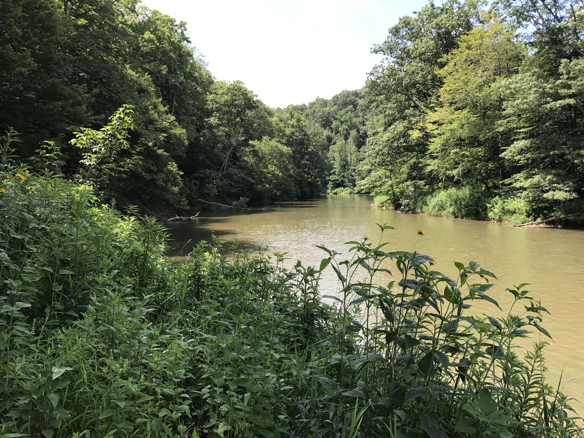 Above The River Vacation Cabin Rental West Jefferson Nc