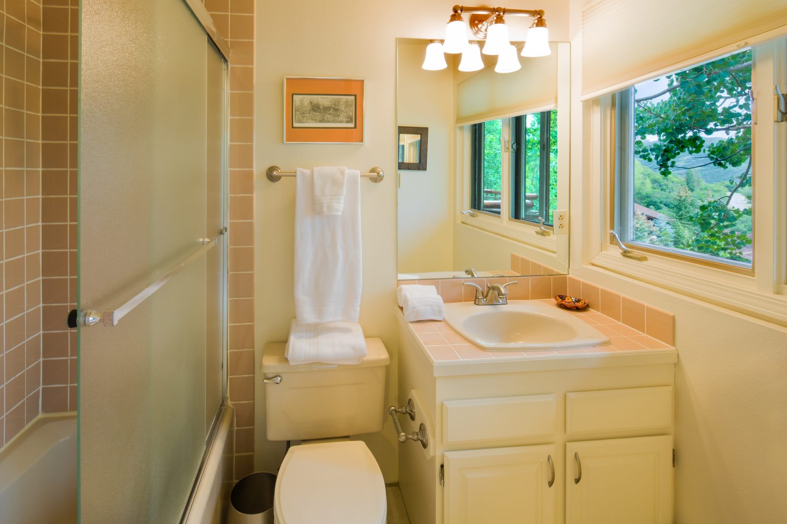 Guest Bathroom with shower. 