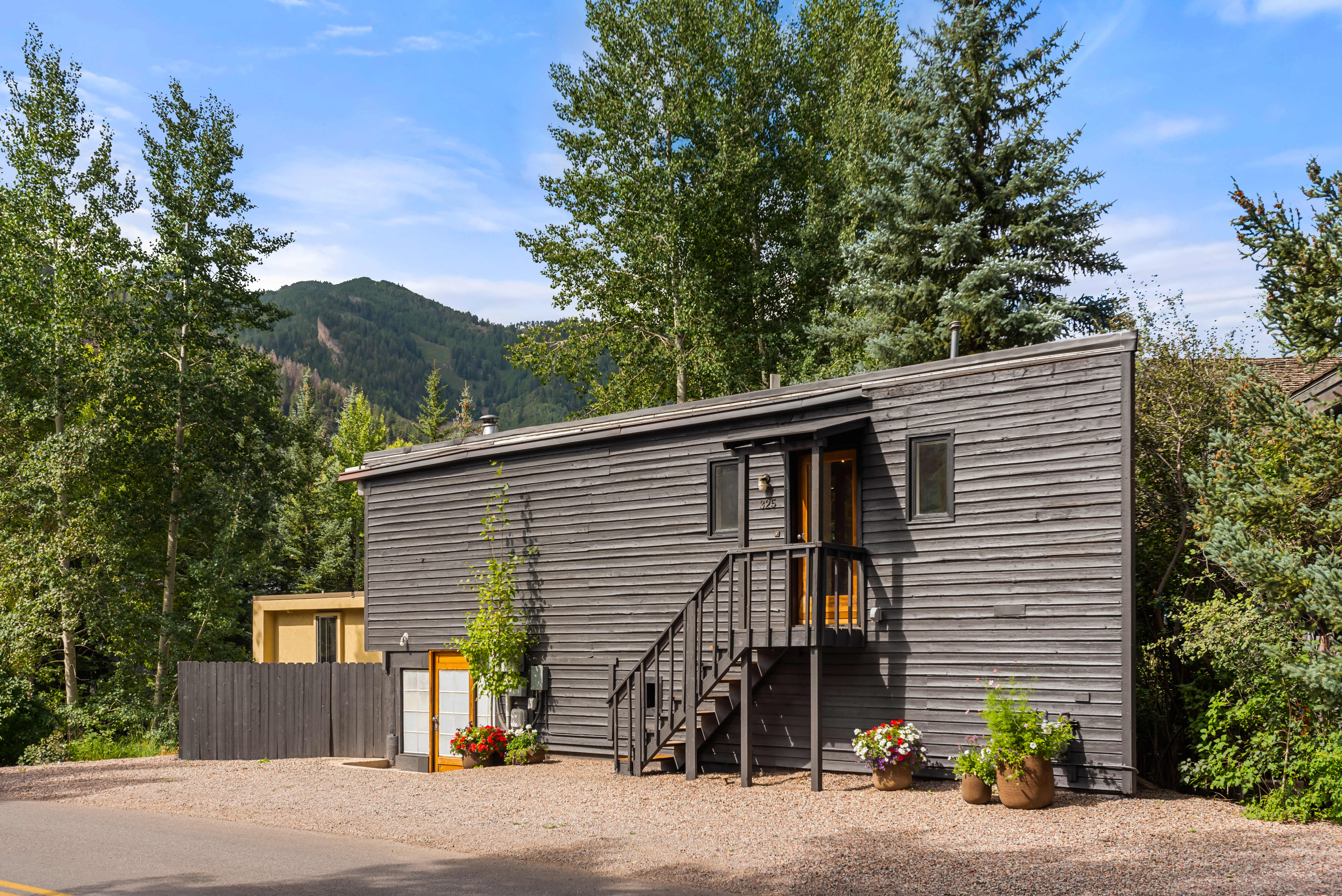 Park Ave Charm - Lovely single-family home with views of Aspen Mountain