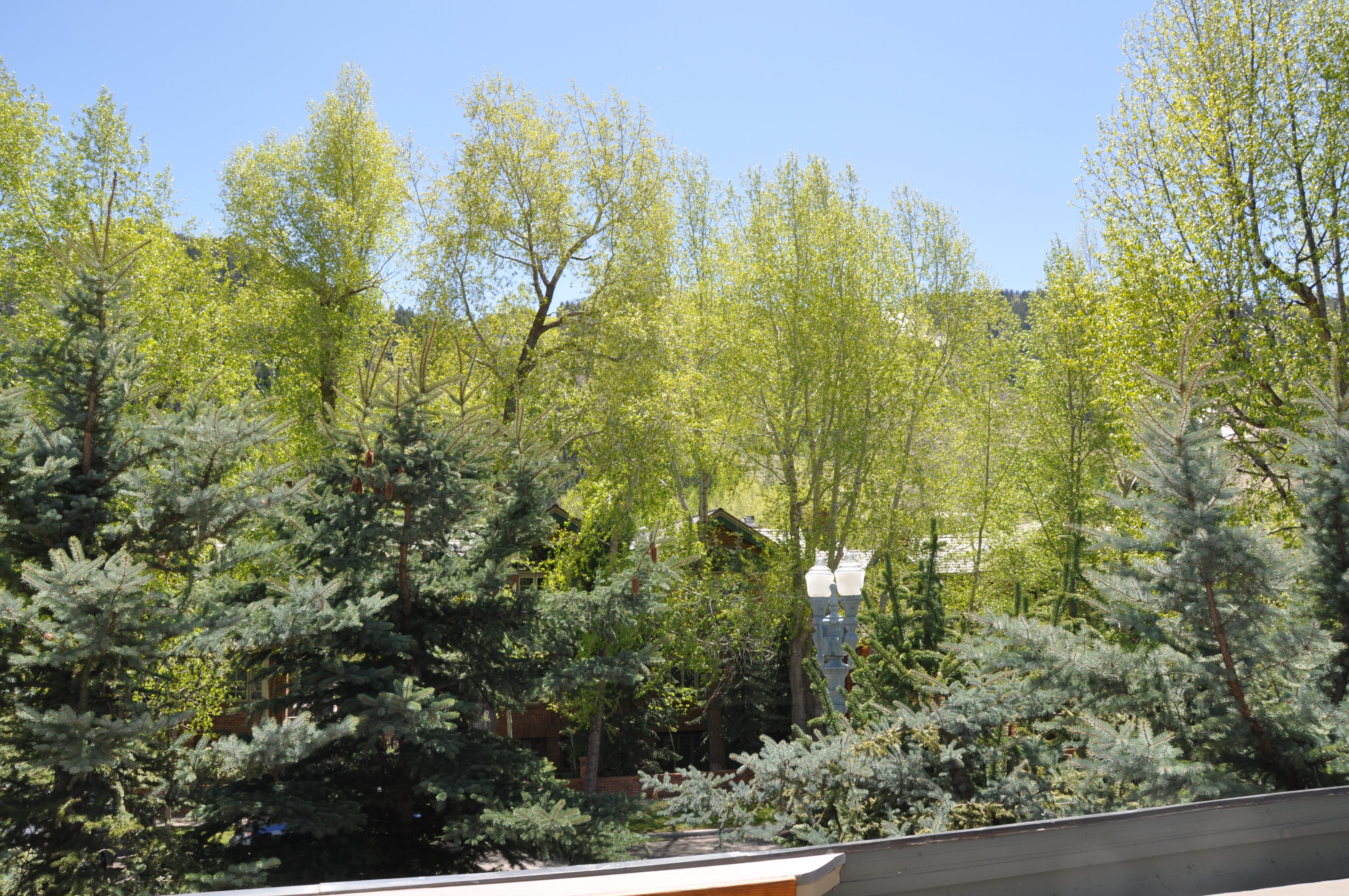 Deck View