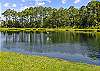 Beautiful pond just across the street with lots of wildlife. 