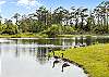 This pond/wetlands is located at the end of Fishing Duck and steps away from home, great bird watching. 