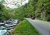 CREEKSIDE TRANQUILITY #365