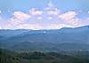 A VIEW FOR ALL SEASONS #405