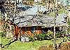 BEAR CABIN #462
