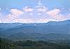 A VIEW FOR ALL SEASONS #405