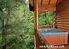 BEARY SECLUDED #296