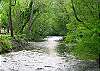 MYSTICAL CREEK POOL LODGE #600