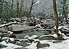 CREEKSIDE TRANQUILITY #365