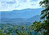 A VIEW FOR ALL SEASONS #405