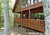 BEARY SECLUDED #296