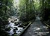 LIVING WATERS #376