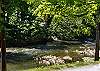 TROUT HOUSE #350