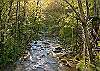 WHISPERING WATERS #208