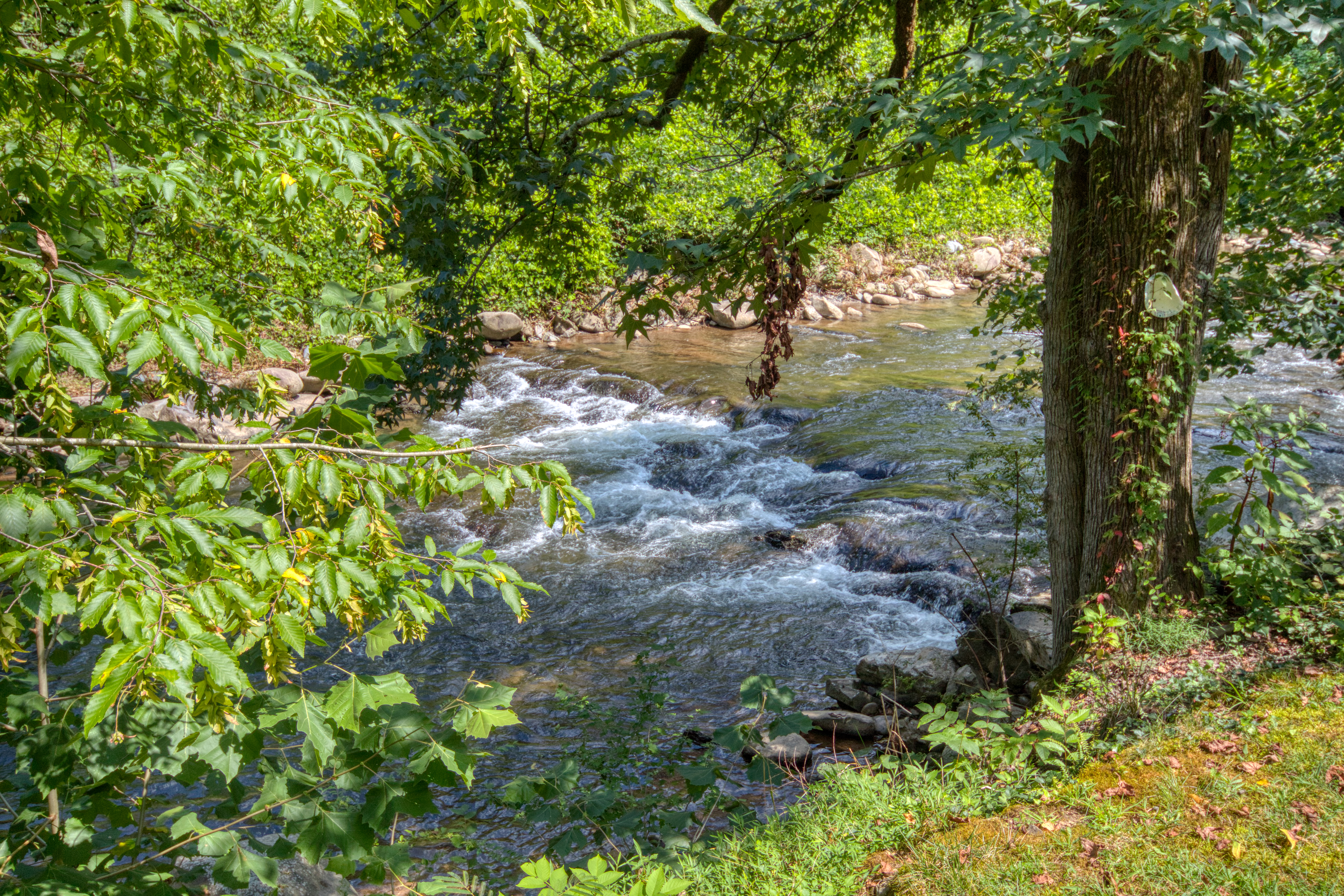 Awesome back yard/ patio views of Gatlinburg river