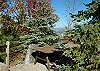 EAGLE'S NEST #379