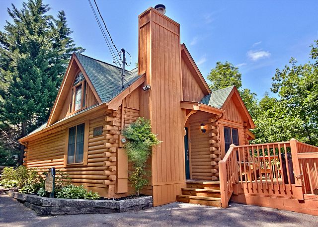Black Bear Toilet Bowl Cleaner Brush & Holder Cabin Log Lodge
