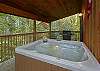 ROOSTER RIDGE CABIN #231
