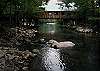 ZEN GARDEN #1523