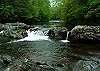 RIVER DREAM #466