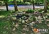 LIVING WATERS #376