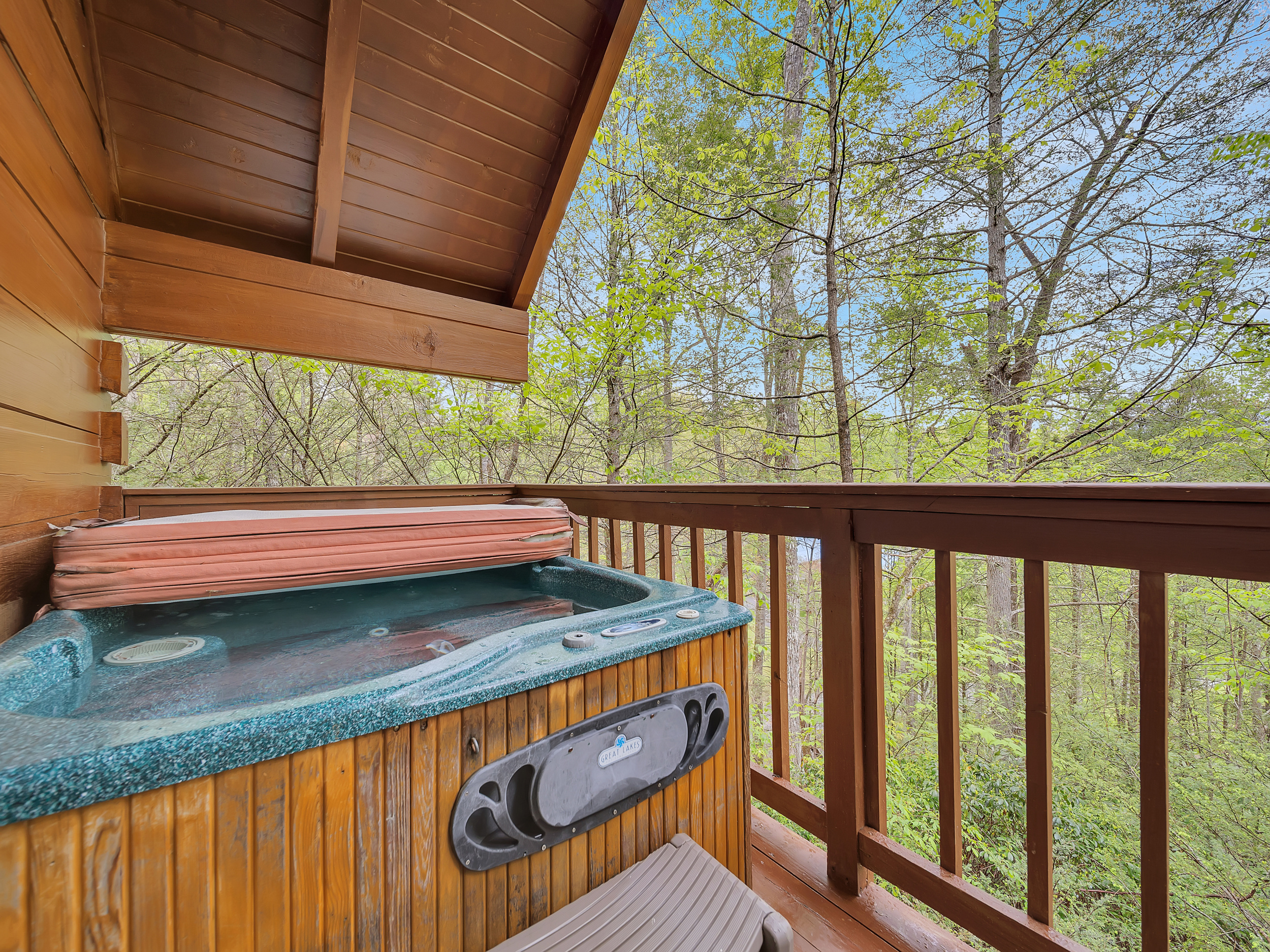 Foxy Lady #1531 | Photo 2