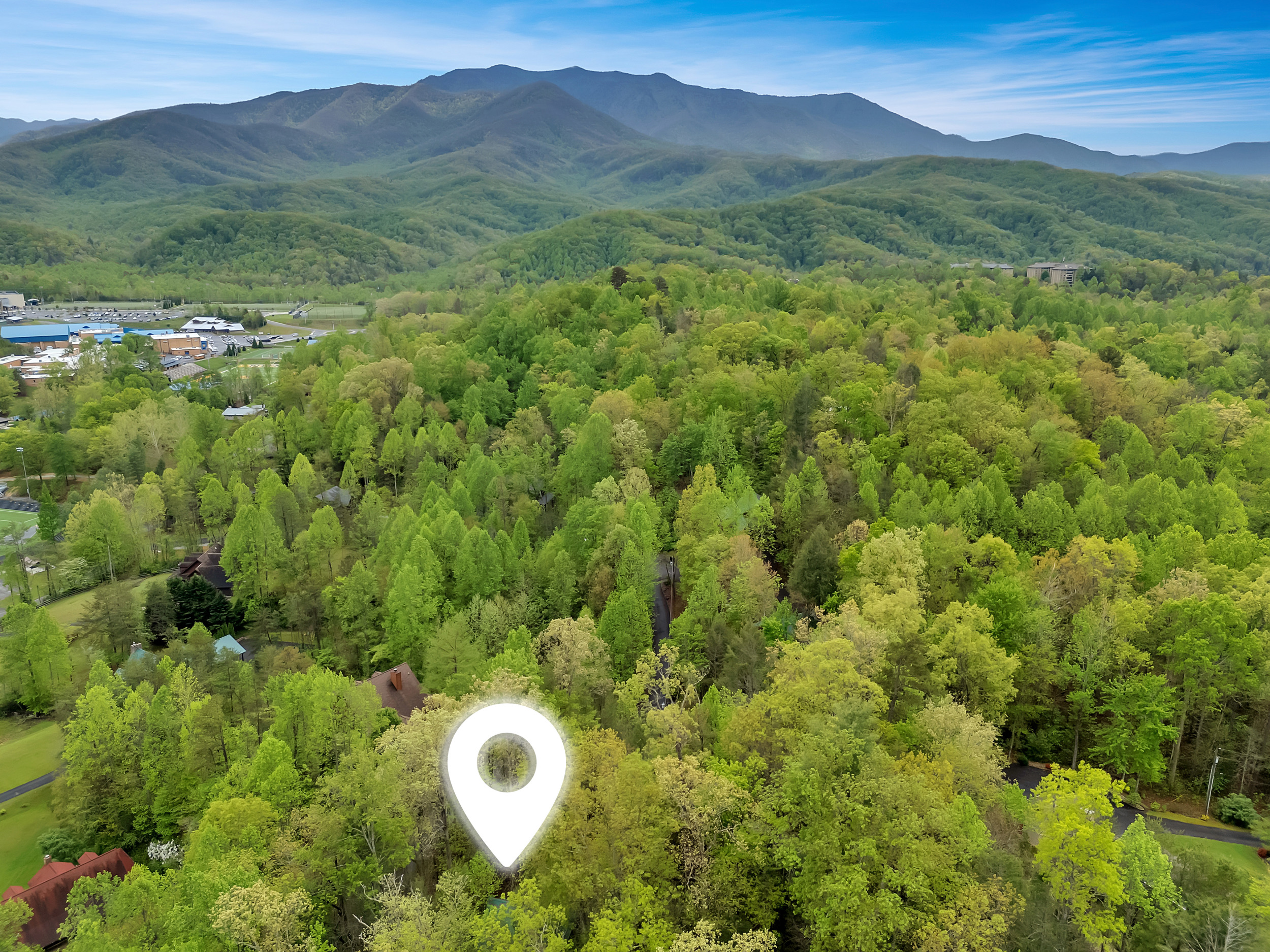 Foxy Lady #1531 | Photo 3