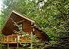 Wild Thing #1525 Gatlinburg's Cutest Honeymooner-Anniversary Romantic cabin! 