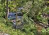 BIRDS CREEK MANSION #650