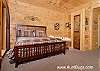 BEARY SECLUDED #296