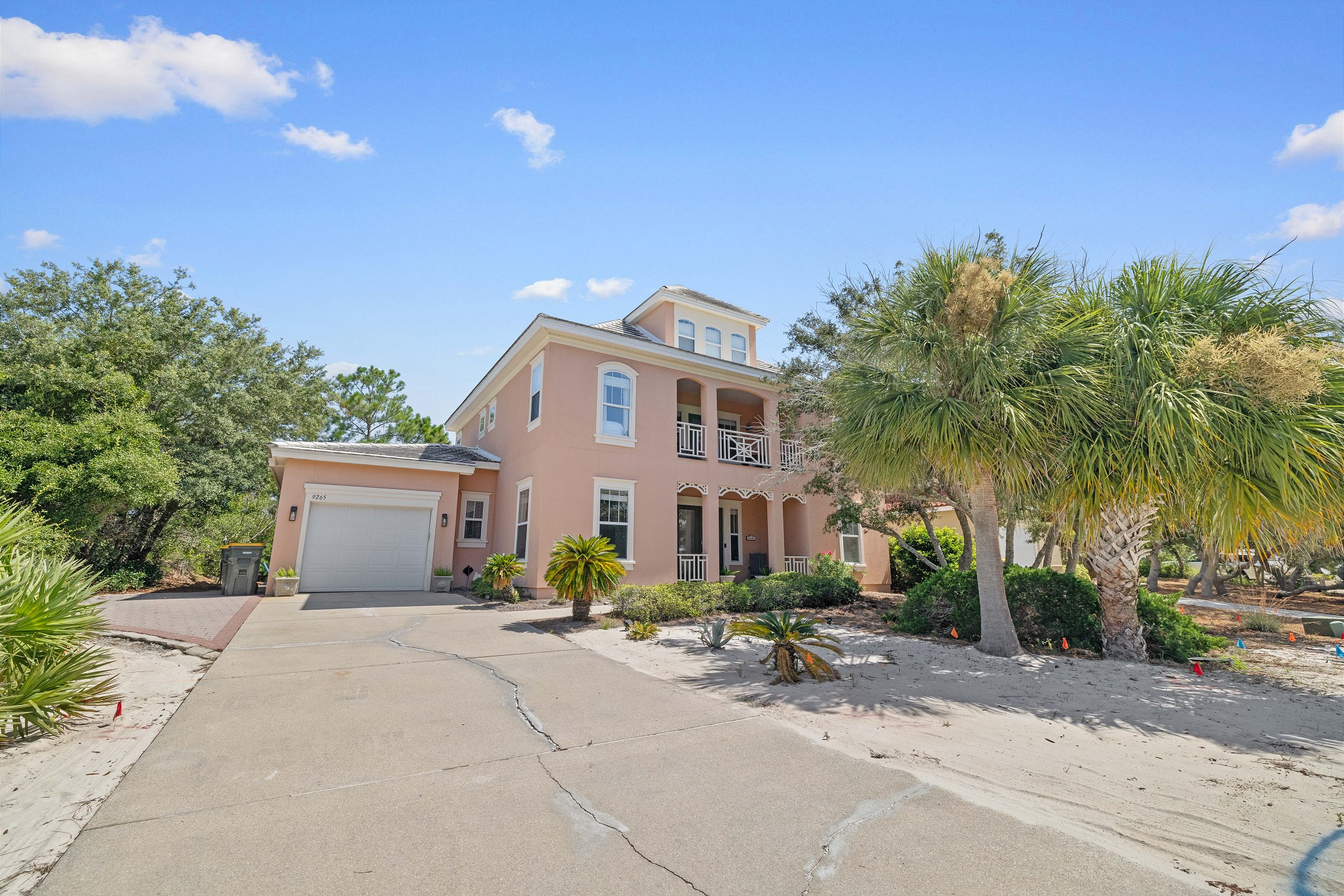 Coconut Cabaret | Photo 2