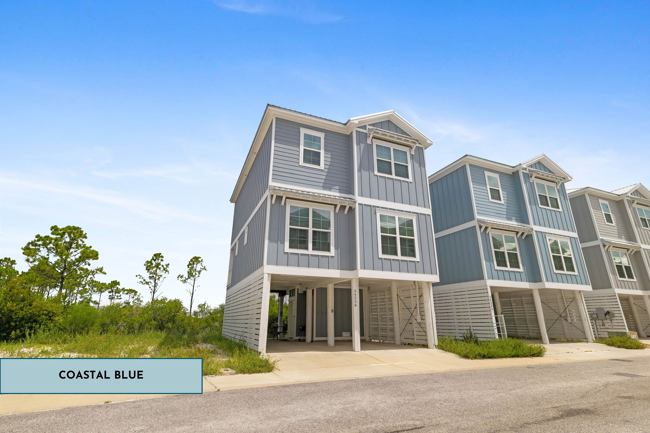 Coastal Blue | Summer Salt 24238
