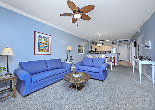 water tech spa vacuum