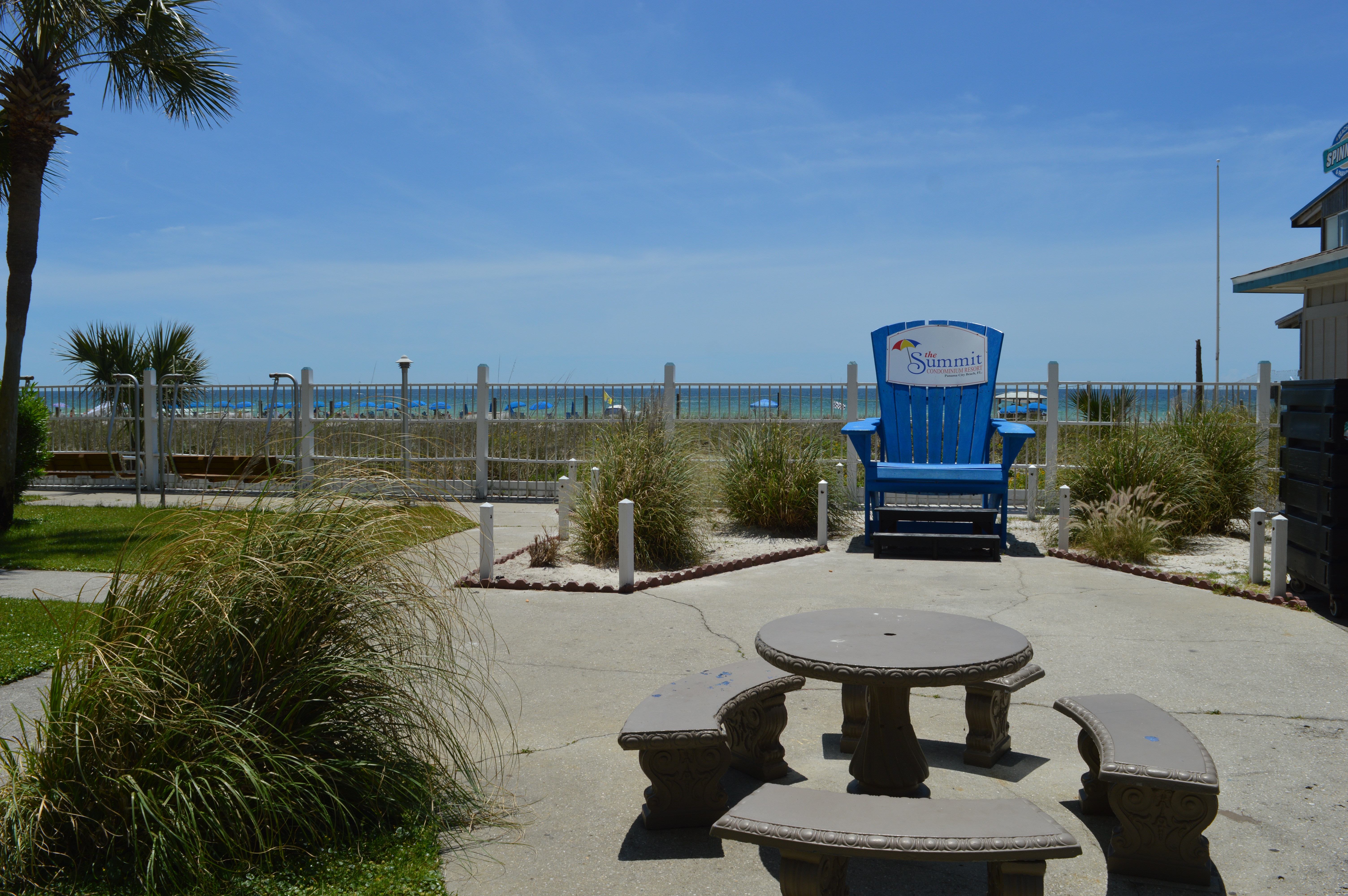 Photo #31
