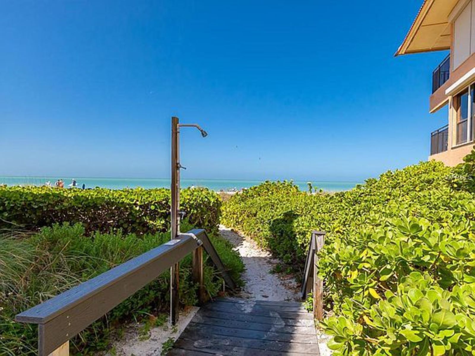 Shell Game | Photo 27