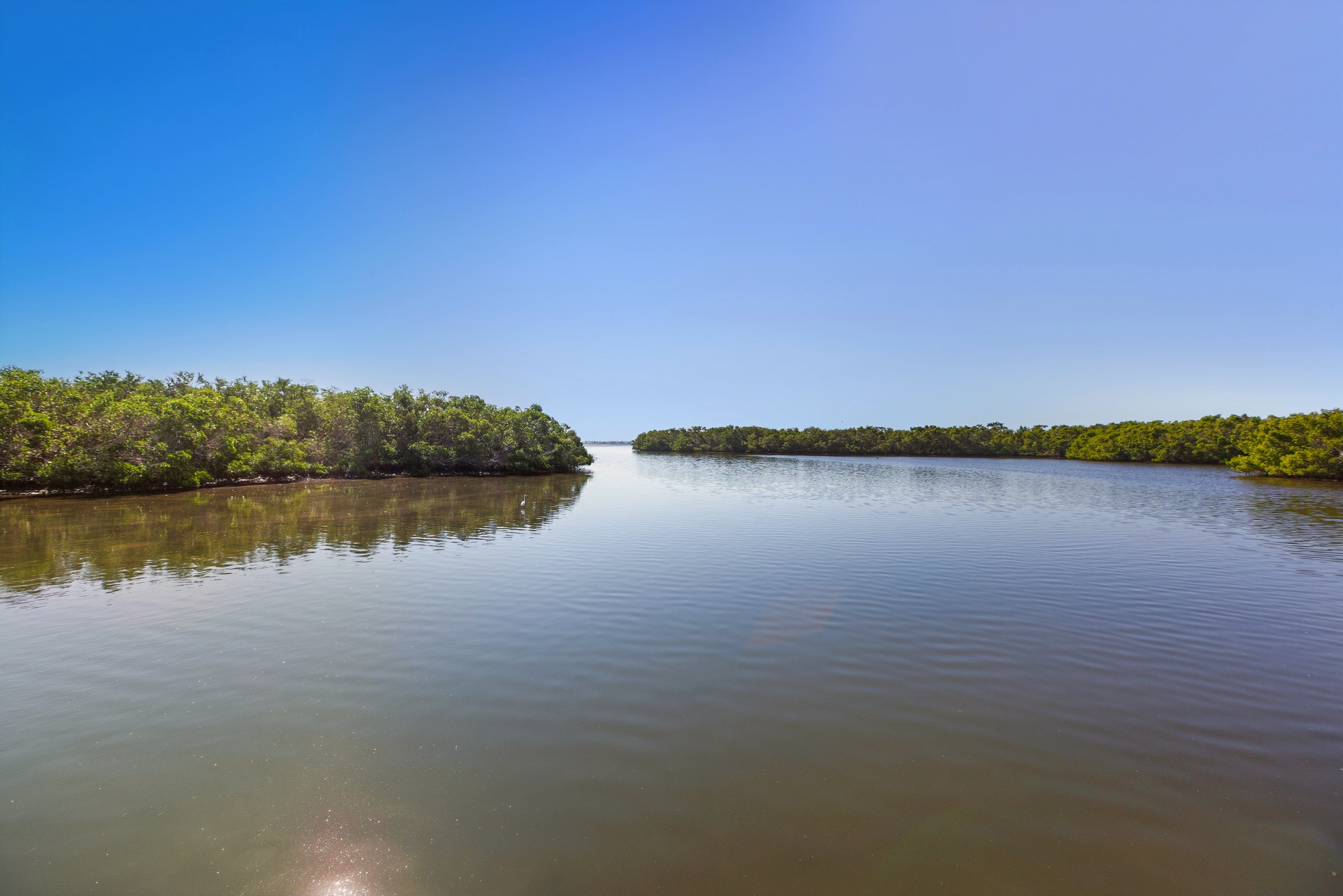 Spoonbill Lagoon | Photo 27