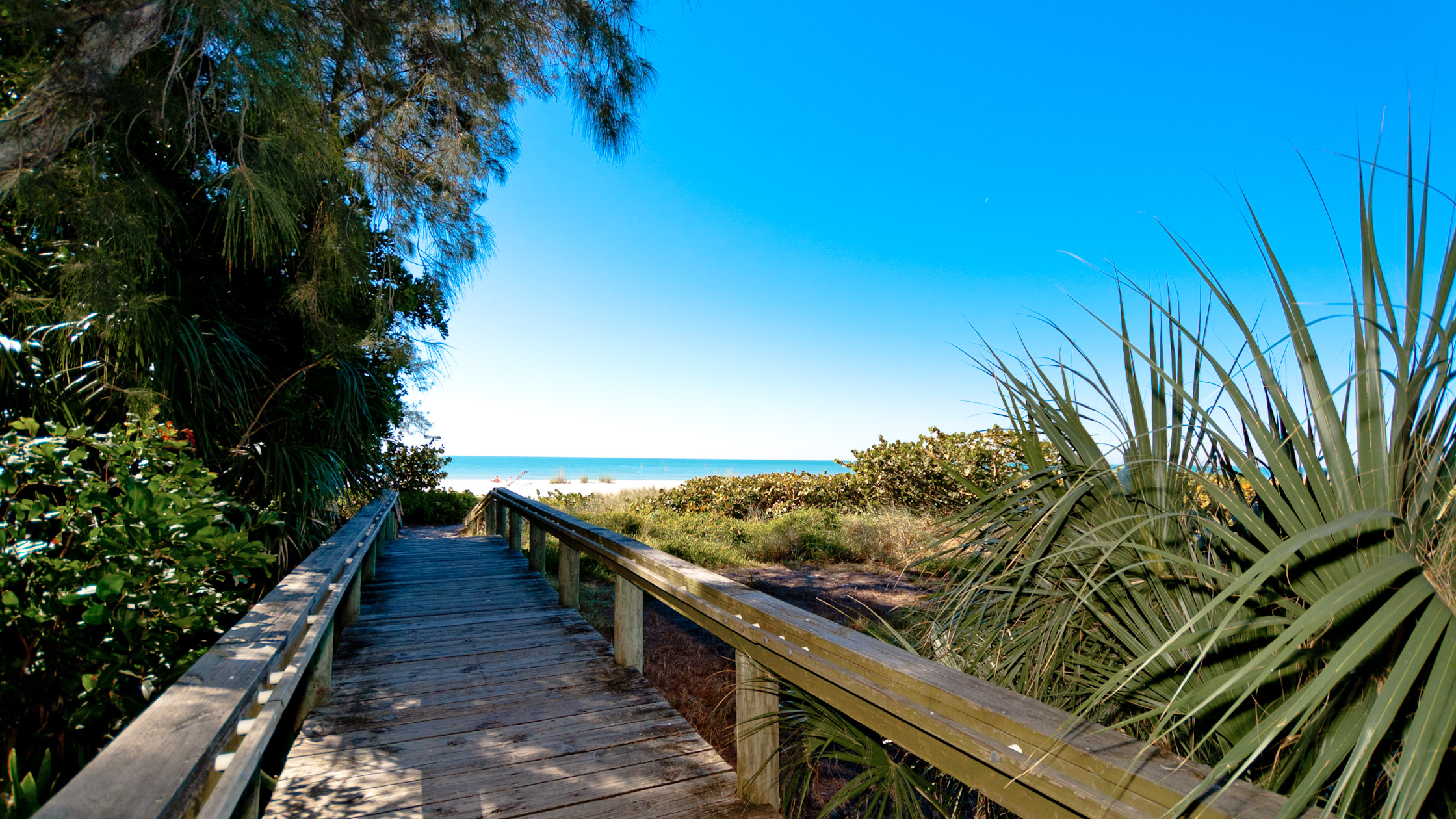 Beach Basket | Photo 27