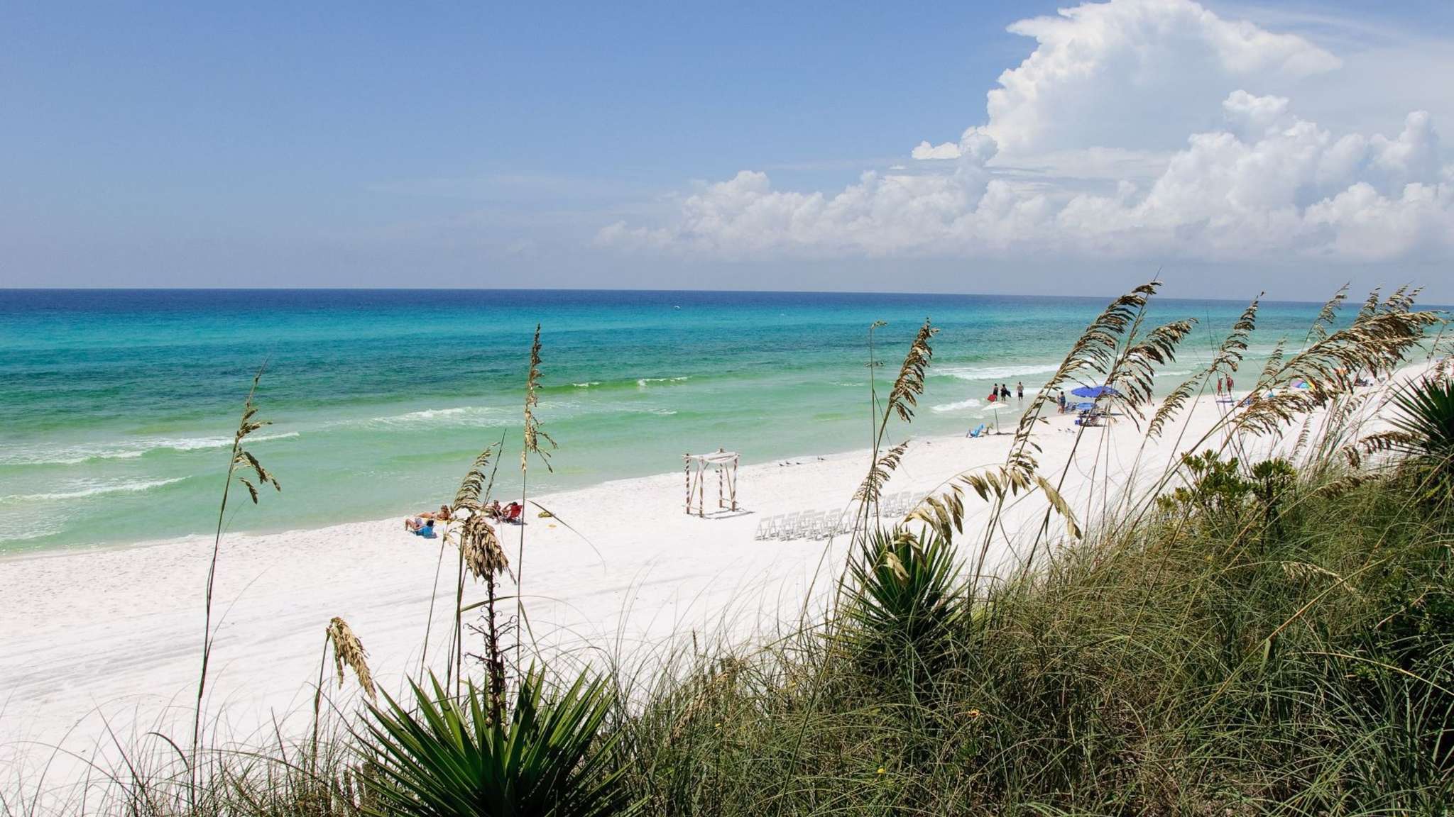 Tides at Tops`l #301 | Photo 23