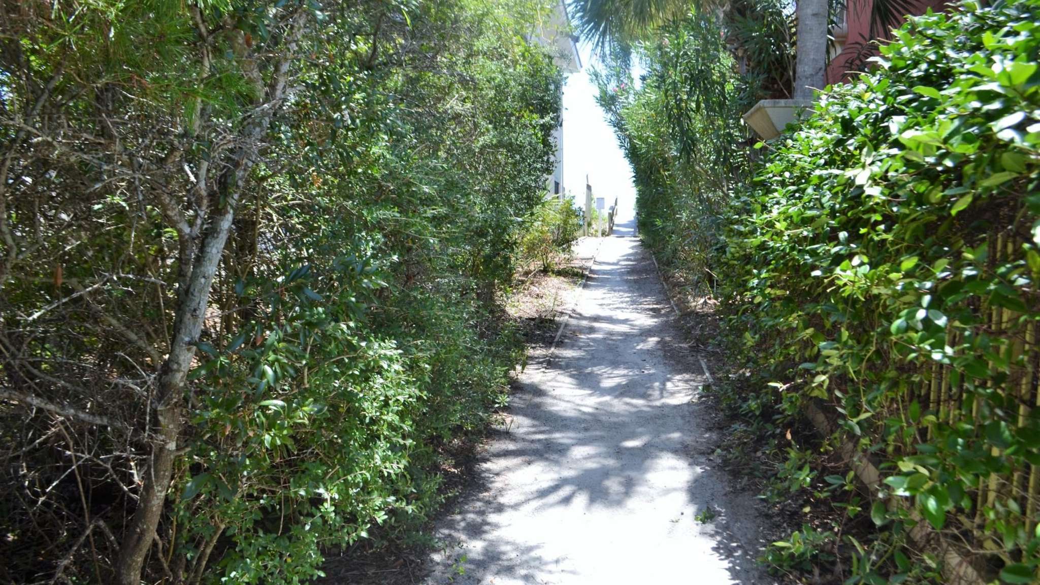 Gulf Place Cabanas 401 | Photo 26