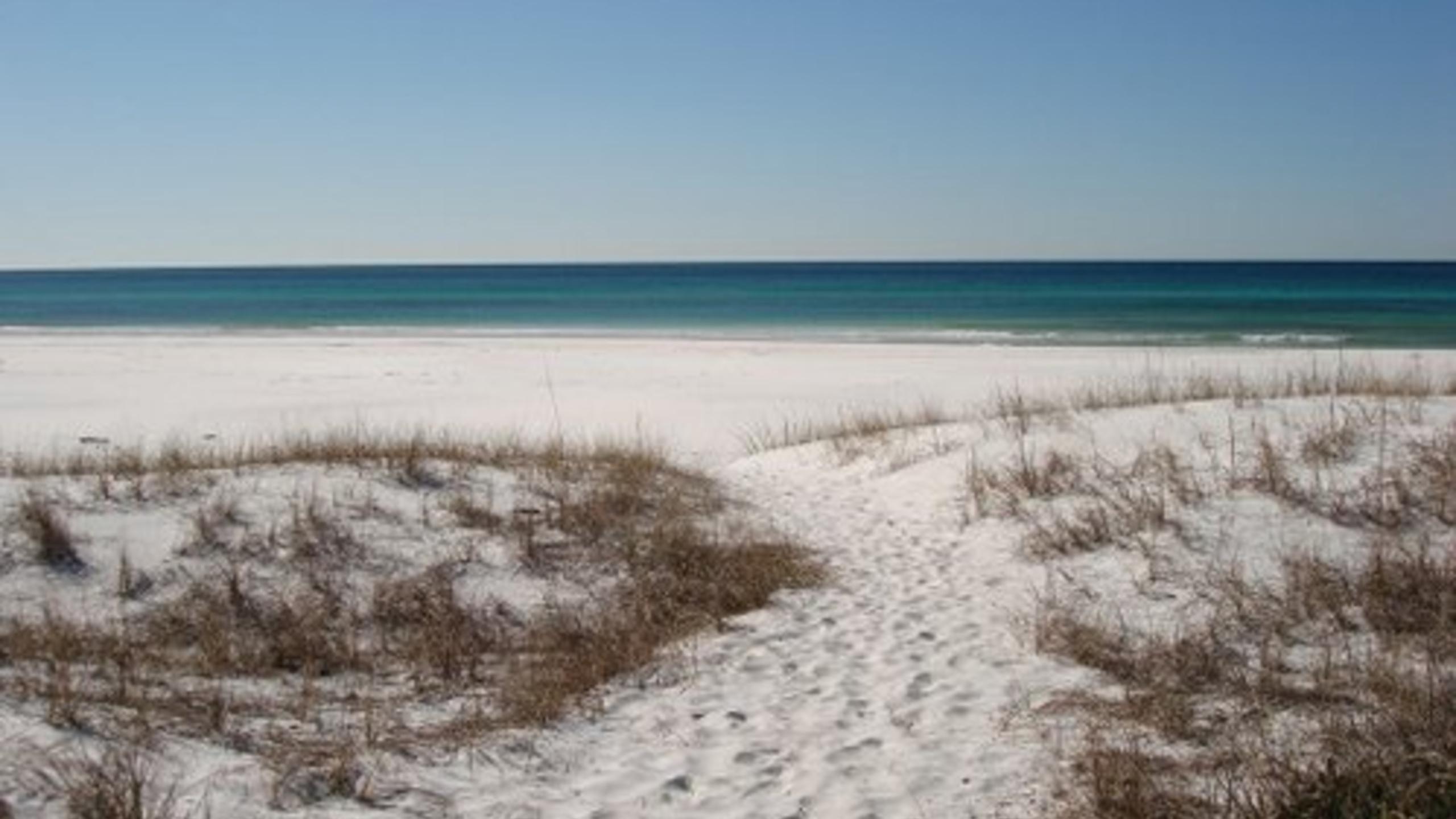 High Pointe 431 Gulf Views | Photo 37