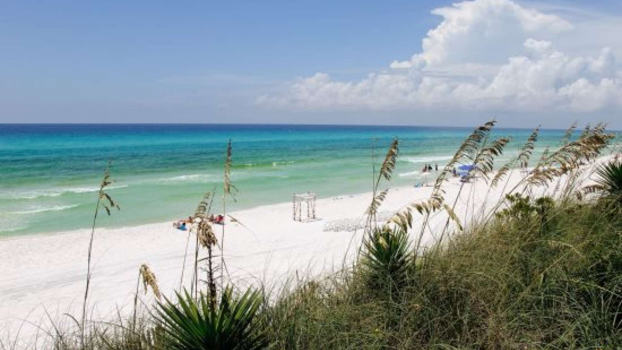 Emerald Waters Unit 202 | Photo 39