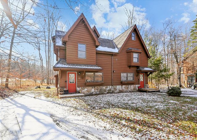 The Cross Eyed Cricket