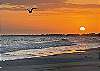 Beautiful Sunsets!