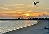 Sunset with wildlife