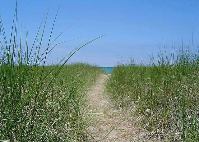 Path to the water Path to the water