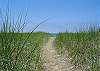 Path to the water Path to the water