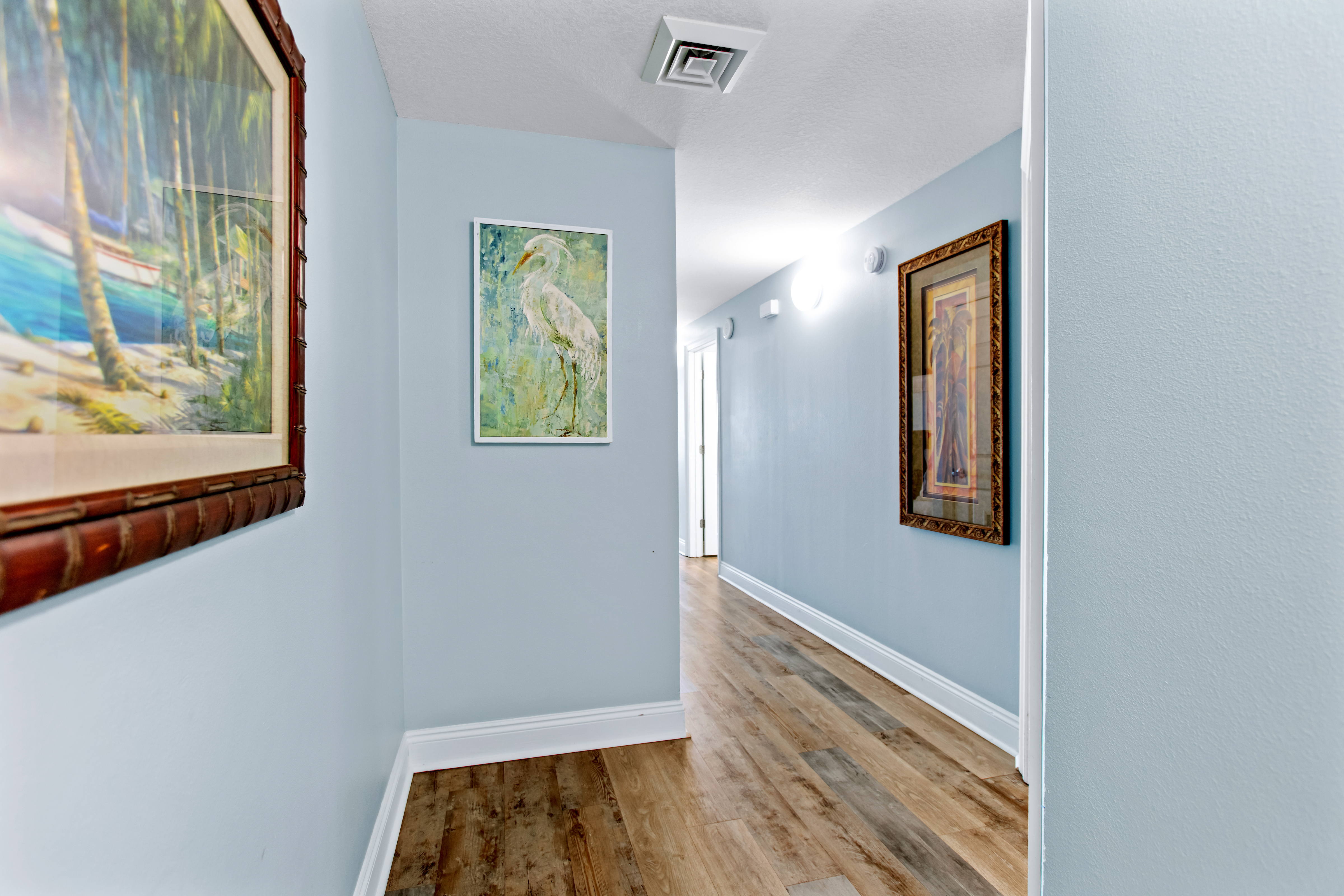 Calypso TW 1 - 1807 | Photo 27