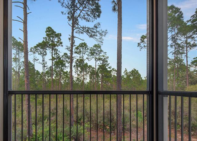 Pinewood30A 424 - Peace of the Pines on 30A 4