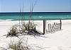 Navarre Beach is home to some of the most pristine natural beach areas in the world!