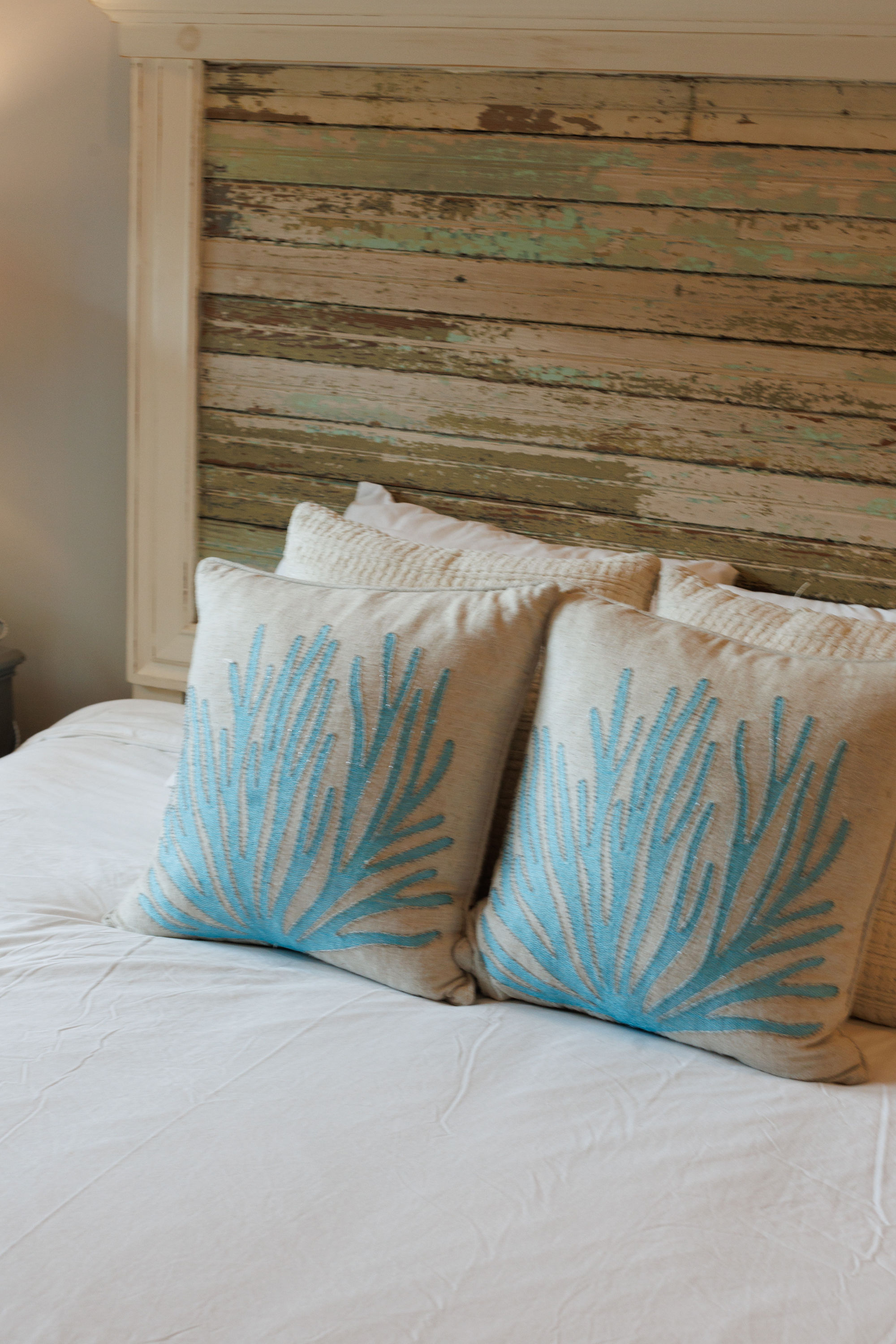 No Shady Beaches | Photo 43